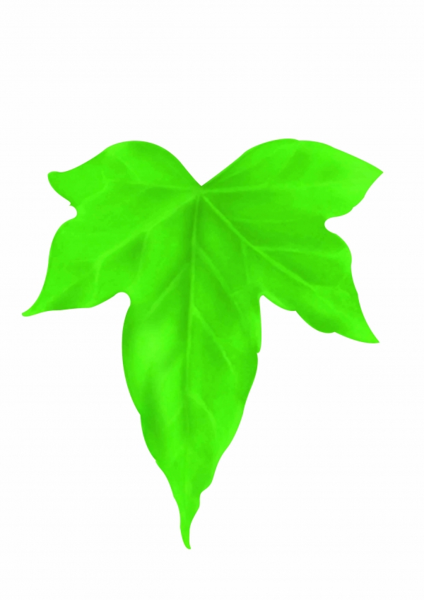 Creation of The Leaf: Step 2